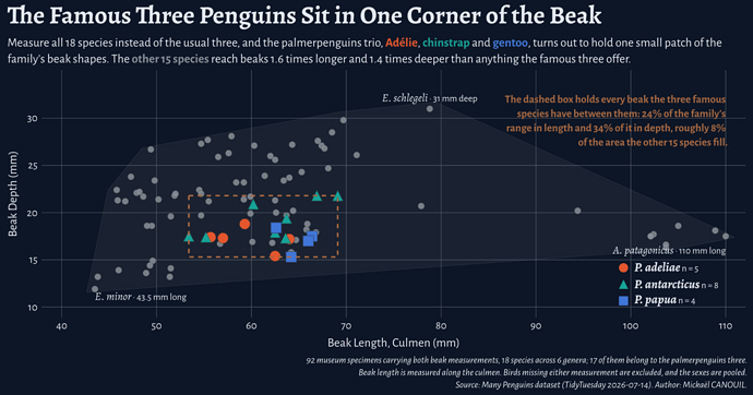 A scatter plot of beak length along the culmen against beak depth for 92 penguin specimens covering 18 species in 6 genera. A pale grey envelope traces the outline of the whole family, and 75 small grey points inside it are the 15 species outside palmerpenguins. The 17 specimens of the palmerpenguins three are drawn larger, each species with its own colour and its own shape: coral circles for Adélie, teal triangles for chinstrap, and blue squares for gentoo. All three cluster tightly between about 53 and 69 millimetres of beak length and 15 to 22 millimetres of depth, and a dashed brown rectangle encloses exactly that range. The rectangle covers a small part of the panel: the family as a whole spans 43.5 to 110 millimetres in length and 11.9 to 31 millimetres in depth. A key inside the empty band below the rectangle names the three species with their marks and sample sizes. Three specimens at the edges of the family are labelled by name: E. minor at 43.5 millimetres long in the bottom left, E. schlegeli at 31 millimetres deep at the top, and A. patagonicus at 110 millimetres long on the far right. A callout in the upper right states that the dashed box covers 24 percent of the family's range in length and 34 percent of it in depth, roughly 8 percent of the area the other fifteen species fill.