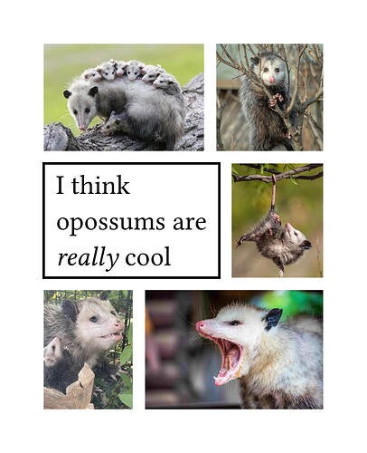 images-and-text
