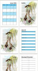 Screenshot From 2025-10-01 17-10-57